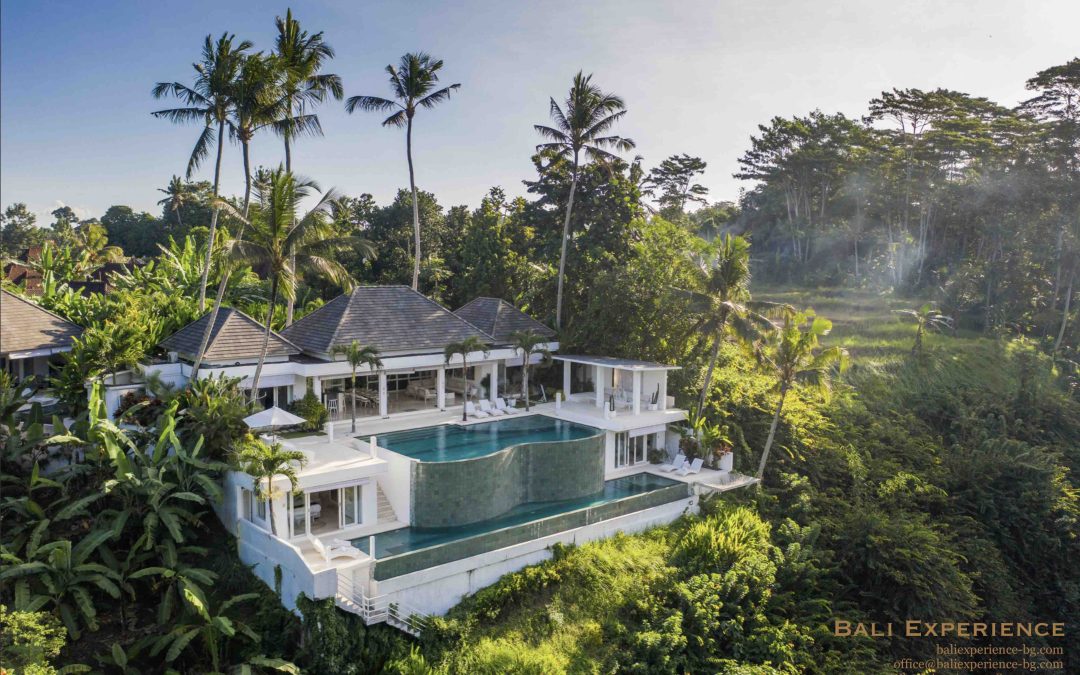 Jungle Villa | Ubud | 1000$